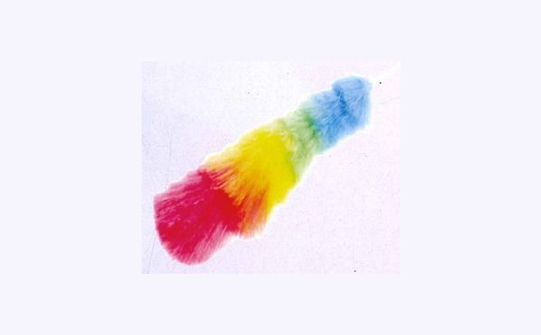 Plumero de Colores