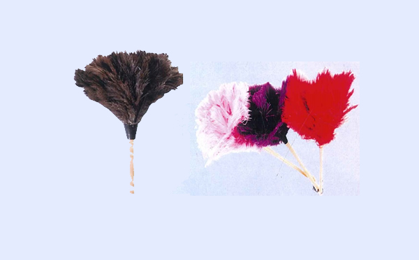 Plumero de Plumas